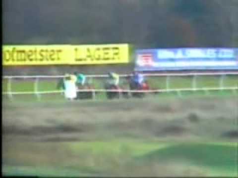 racing results cheltenham