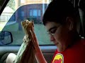 Bum Hunters Episode (#1)