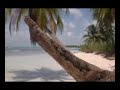 Ilha Saona - República Dominicana