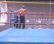full-contact Amateur