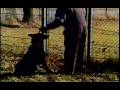 videos de Obedience Training DVD