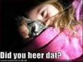 Random Animal Pics