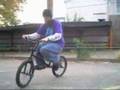 SHUG Inc. - Elvis