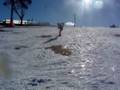 snow-skiers