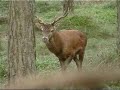 Veluwe