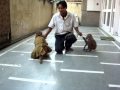 MOV00717.MPG