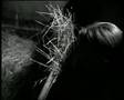 Demented are go - Zombie Stalk
