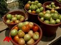 Food Industry Hampered by 2003 Lobbying Success