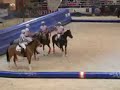 Horse-Ball au salon du cheval 2007 ? Finales