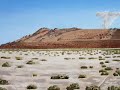 Primary and Other Remote Locations