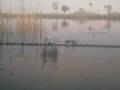 Botswana Tour