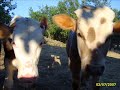 Kastamonu ili devrekani ilçesi bir cennet...
