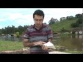 Ministrando Vida 09-01-12 - T�rsis (Herdeiros do Alt�ssimo) - Lucas 17