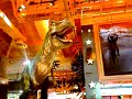Dinosaur @ Toysrus Dinosaur @ Toysrus