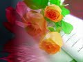 LA ULTIMA ROSA DEL VERANO