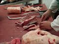 Jon Thorners Lamb Meat Cutting Demo.wmv Jon Thorners Lamb Meat Cutting Demo.wmv