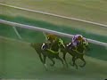 Clasico Jose Antonio Paez 1998 Clasico Jose Antonio Paez 1998