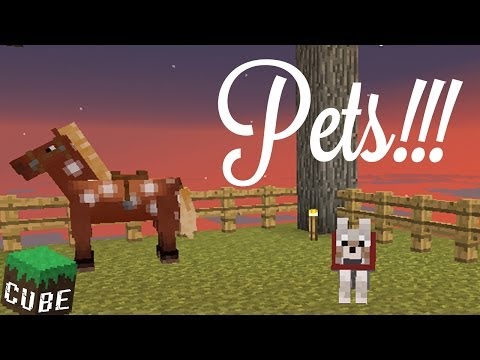 HORSE NIGHT'MARE' - THE CUBE (EP.3)