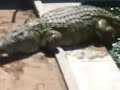 Malawi Teaser
