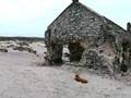 Dhanushkodi Ride