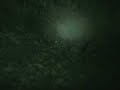 Malaysian Ghost Research - Cahaya Misteri dan Ecto Ball Malaysian Ghost Research - Cahaya Misteri dan Ecto Ball
