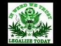 BTNH Blown' N Rollin'