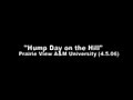 hump day on the hill