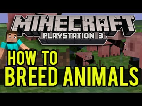 how to breed animals i minecraft