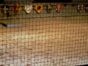 Medieval Times Baltimore - R/Y vs. Red Knight - Foot Combat