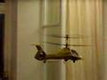 Buzzflyer co-comanche