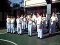 La cotorrita en JMM