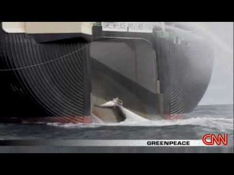0 photo 0 Japanese Men in Pursuit of Mechanized Whale: Hello, Moby Dick picture
