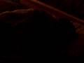 videos de viaggio madonie 3a 4e 4g scherzo ru