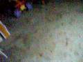 justin videos 006.MOV