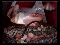 prparation de lomelette mere poulard mont saintmichel.html
