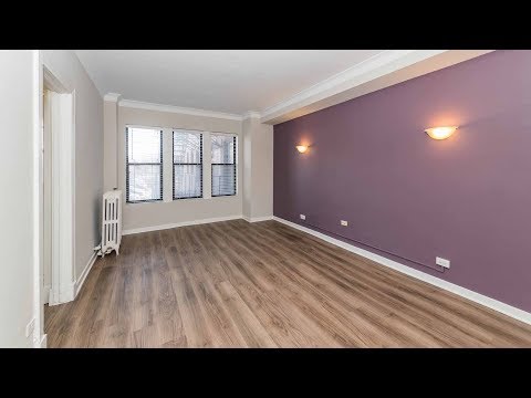 A studio with an accent wall a block from fabulous Lincoln Park A studio with an accent wall a block from fabulous Lincoln Park