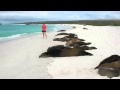 Galapagos Islands 2008 - YouTube