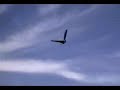 Robo Falcon Robo Falcon