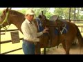 How to Saddle a Horse Western Style