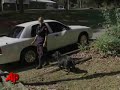 a family dog brought home a child's severed foot, but searchers combing surrounding woods in northwest alabama found no signs of any other remains and don't know where the child might be.  (sept. 22)