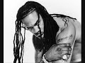 DJ Besho feat. Jawid Sharif & Busta Ryhmes - Gozashta Remix