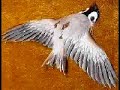 H5N1