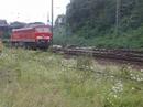db-241-8036.html