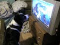 Whisper watching TV Whisper watching TV