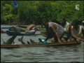 Dolphin Massacre in Solomon Islands