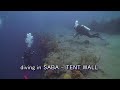 tentwall01.wmv