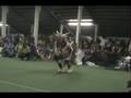 videos de Welpinit 2008 Chicken Dance Finals Grand Entry