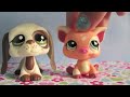 New LPS I Got For My Birthday! ツ