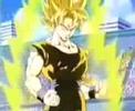 Goku Vs. Vegeta - Pride