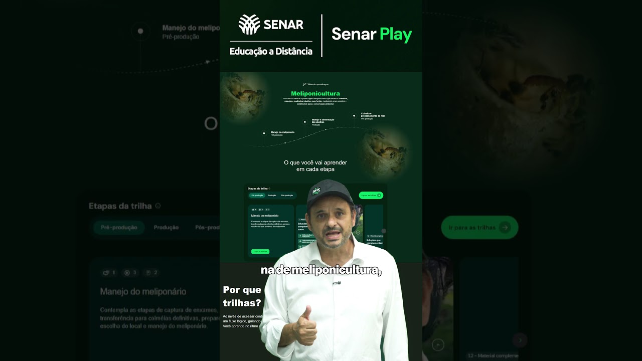 Meliponicultura e apicultura